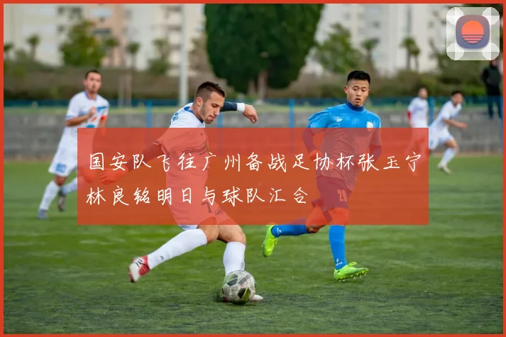 国安队飞往广州备战足协杯张玉宁林良铭明日与球队汇合